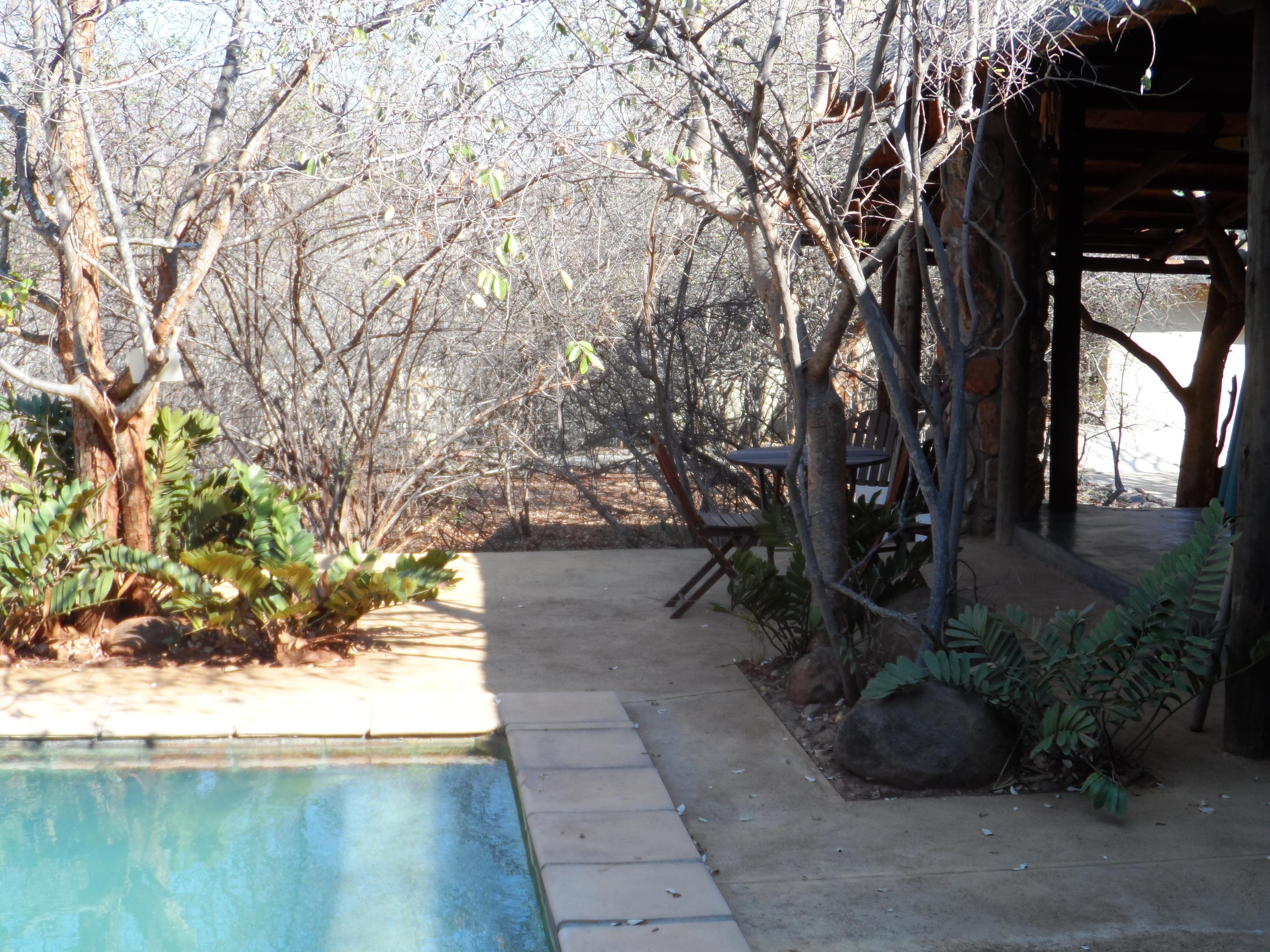 Shikwari Nature Reserve Hoedspruit Eksteriør bilde