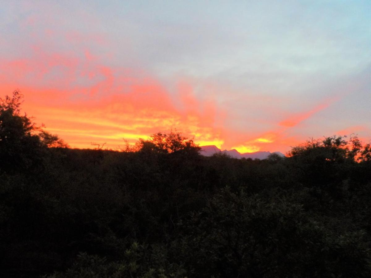 Shikwari Nature Reserve Hoedspruit Eksteriør bilde