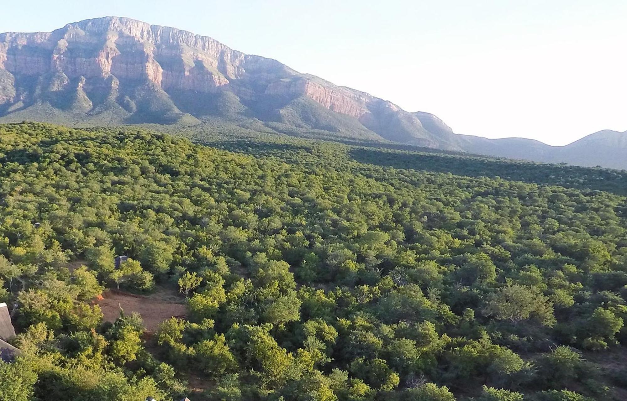 Shikwari Nature Reserve Hoedspruit Eksteriør bilde